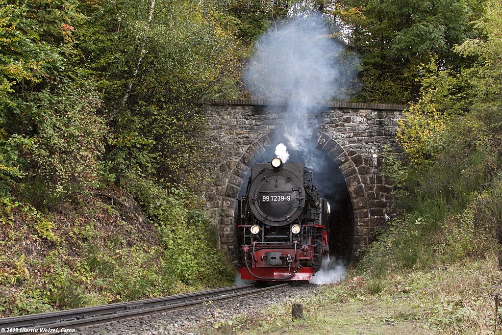 https://www.eisenbahnhobby.de/Harz/Z29724_997239_Draengetal-Thumkuhlenkopftunnel_2019-10-03.jpg